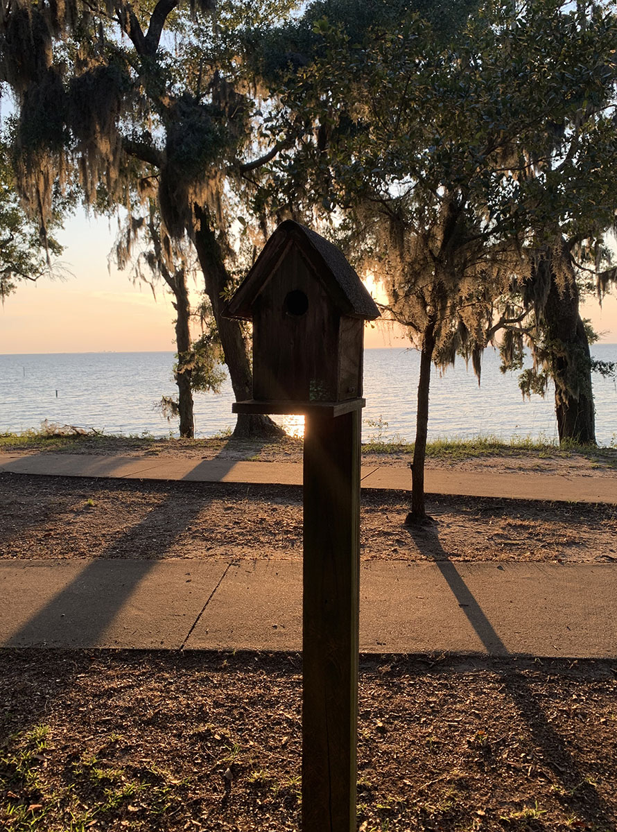 Birdhouse at Sunset