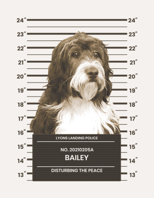 Bailey